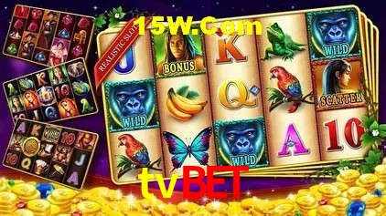 Sistemas de Segurança tvbet